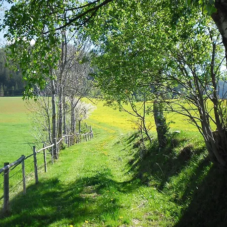Alpenchalet *